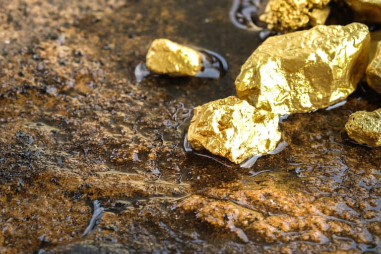 Is Pure Gold Soft? (All You Need To Know)